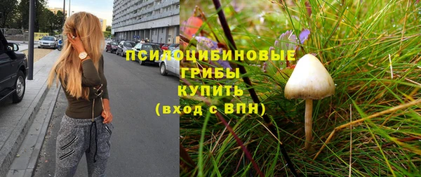 a pvp Новодвинск