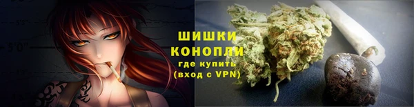 мдпв Нея