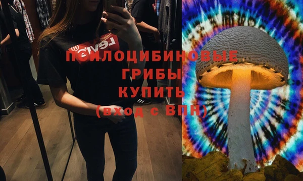 a pvp Новодвинск
