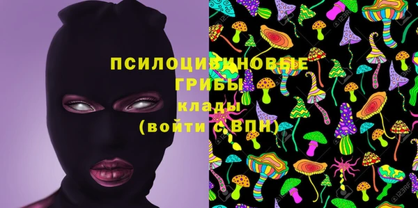 амф Новокубанск