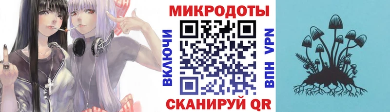 где найти   Козельск  Галлюциногенные грибы мицелий 
